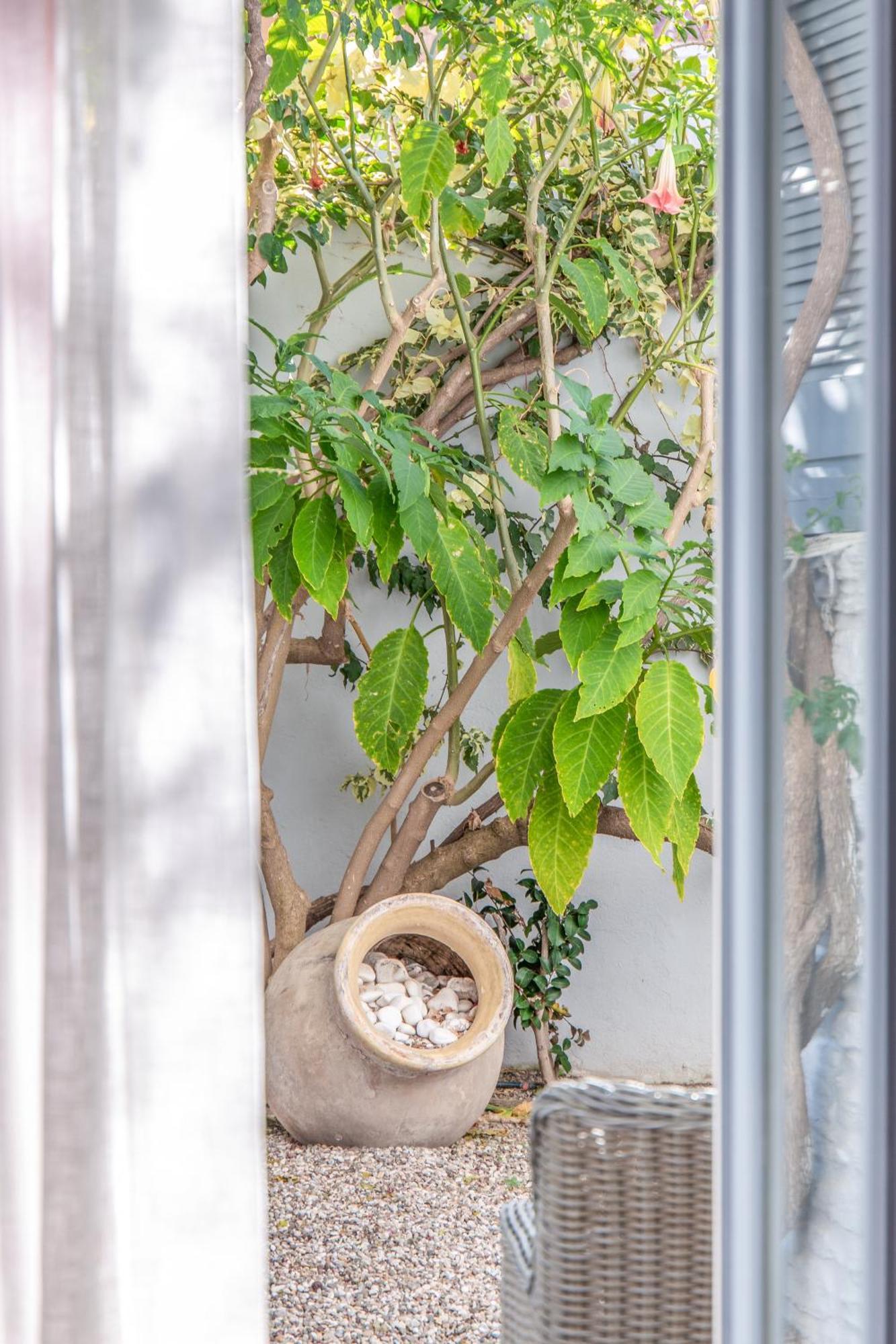 Micra Anglia Boutique Hotel & Spa Andros Town Ngoại thất bức ảnh